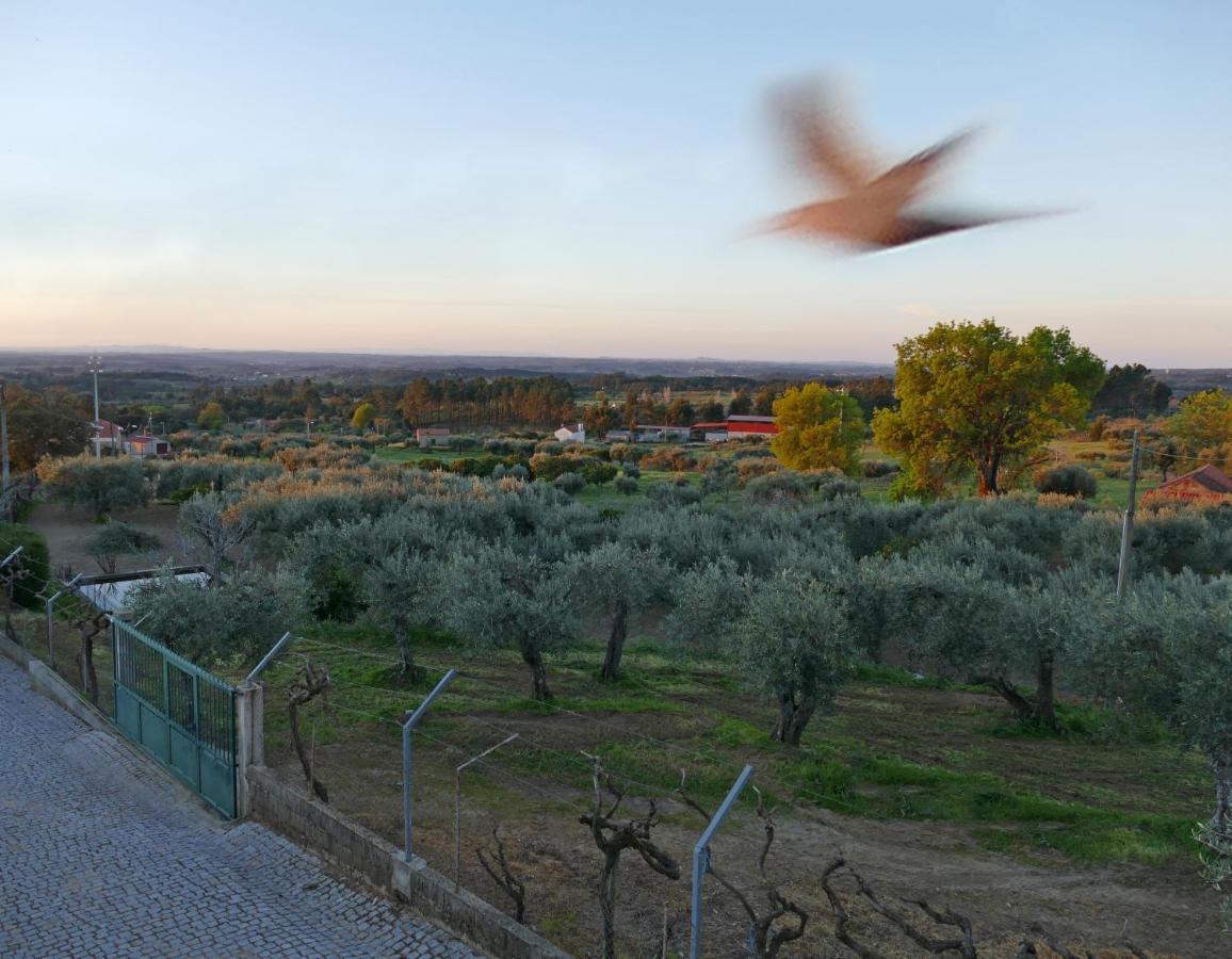 Casa E Piscina Privada *